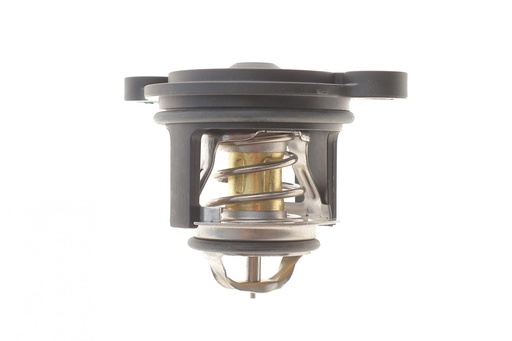 [725379] Термостат Ford Fiesta 1.0 12-17/1.1 Ti-VCT 17- (50°C)