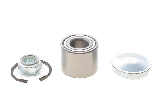 [77 01 210 004] Підшипник маточини (задньої) Renault Clio 12- (25x55x43)(к-кт)