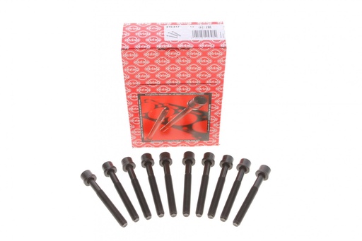 [819.817] Болти головки блоку (комплект) VAG 1.3/1.6/1.8/2.0