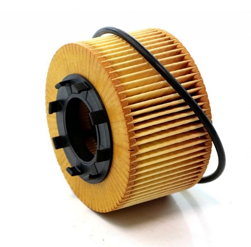 [FOE191D] Фільтр масляний Ford Mondeo III, Transit, Jaguar X-type, 2.0D/2.2D/2.4D (00-), (тип Mann)