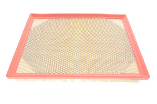 [AF1753s] Фільтр повітряний RENAULT MASTER III 3.0 DCI 03-, OPEL MOVANO 3.0 CDTI 04- (з сіткою)