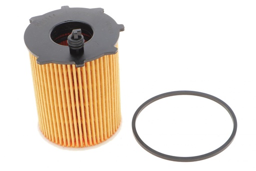 [101032] Фільтр масляний Fiat Scudo/Citroen Berlingo 1.6JTD/HDI 07-