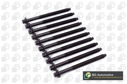 [BK3339] Болти головки блоку Berlingo/Partner 1.6 D/HDI 01- (10 шт.)
