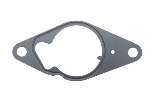 [01096200] Прокладка насосу вакуумного Fiat Doblo 1.3 D Multijet 10-/Peugeot Bipper 1.3 HDi 10-