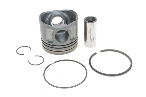 [GZ-F1684] Поршень Citroen Jumper II/Peugeot Boxer 2.2HDi 06- (86.00mm/STD)
