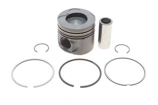[GZ-F1694] Поршень BMW 5 (E60) 05-10/X5 (E70) 3.0d (M57) 06-10 (84.00mm/STD)