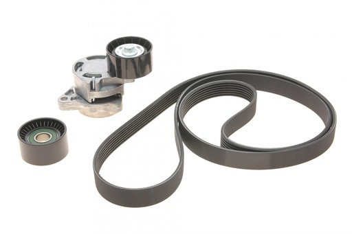 [7701475193] Комплект поликлинового ремня (с роликами) NISSAN INTERSTAR; OPEL MOVANO A, VIVARO A; RENAULT MASTER II 2.2D/2.5D 09.00-