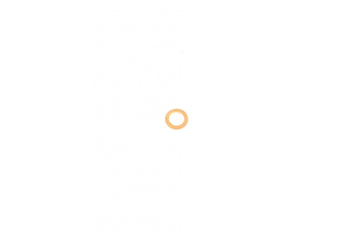 [N 013 804 2] Шайба